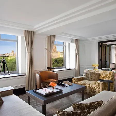 The Ritz-carlton New York, Park 5*