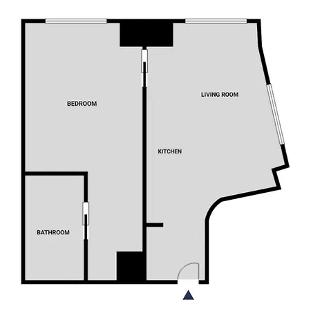 Financial District 1br W Wd Gym Elevator Nyc-1376 Apartment