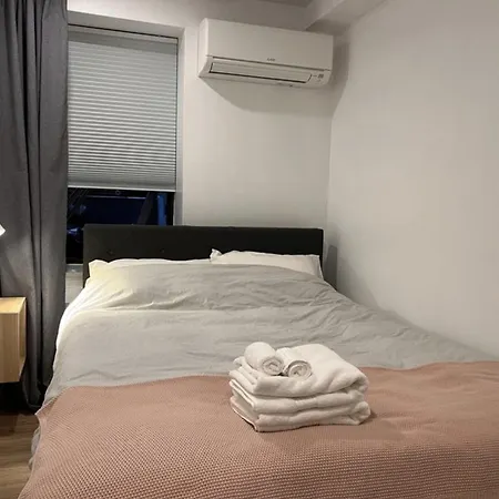 Beautiful Brooklyn In Sunset Park Apartment New York