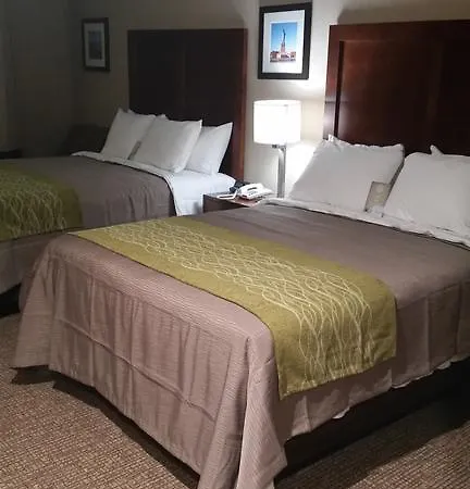 Hotel Comfort Jamaica Downtown New York