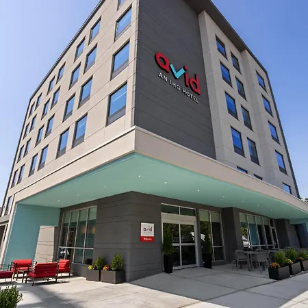 Avid - Brooklyn Dyker Heights By Ihg
