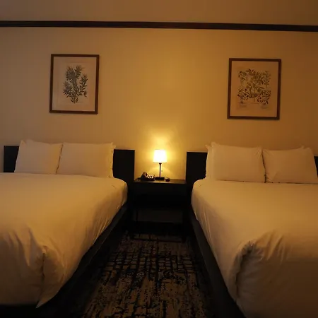 Hotel Night Broadway New York