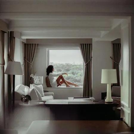 Hotel The Ritz-carlton New York, Park New York