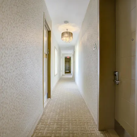 Aura Brooklyn 4*