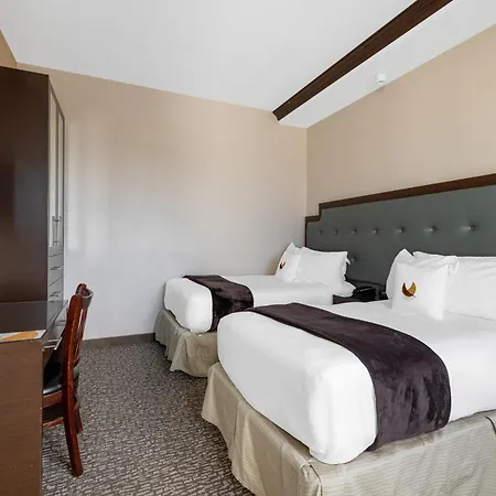 Aura Brooklyn 4*