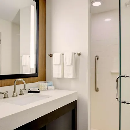Hampton Brooklyn Downtown Hotel New York