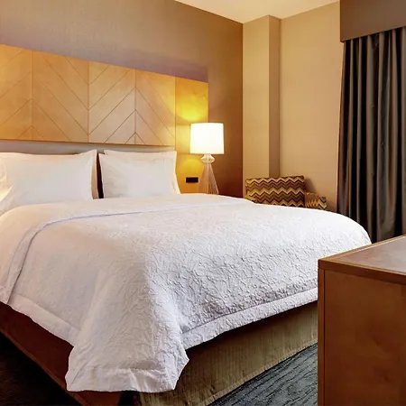 Hampton Brooklyn Downtown Hotel New York
