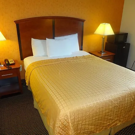 Hotel Lexington New York