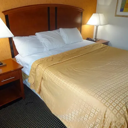 Lexington 2* New York