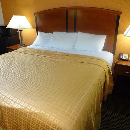 Lexington 2*