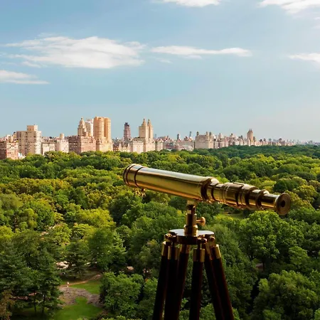 Hotel The Ritz-carlton New York, Park 5*