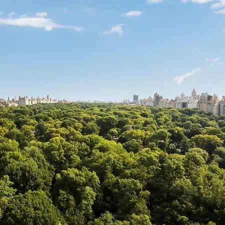 The Ritz-carlton New York, Park Hotel