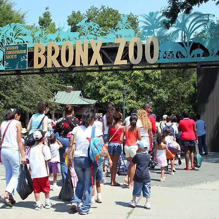 Bronx Botanical Gardens New York