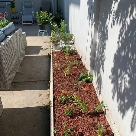3 Bedroom Duplex W Large Backyard Apartment