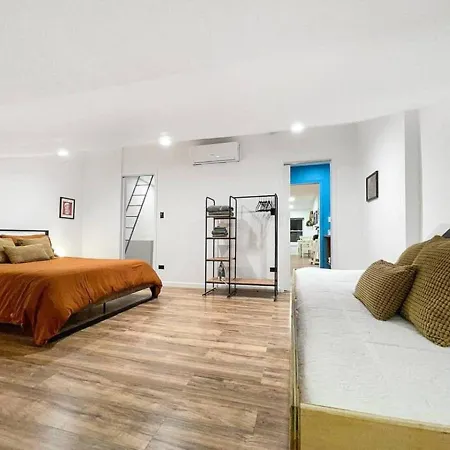 Apartment Cozy And Spacious 1br In Bed-stuy Brooklyn New York