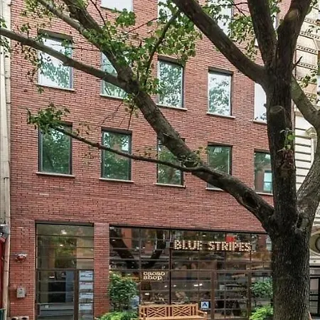 13-3 I Brand New 4br 3 Baths Duplex Private Roof Deck New York