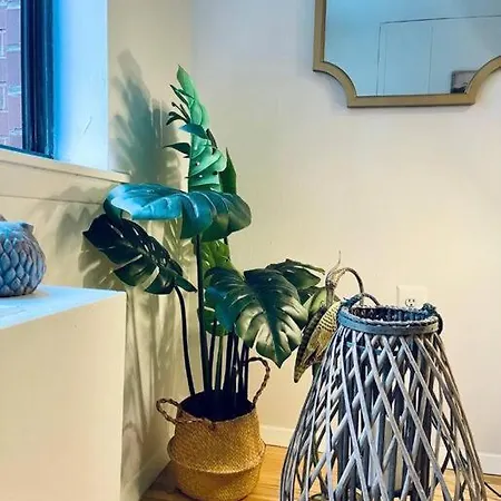 Cozy In Chelsea