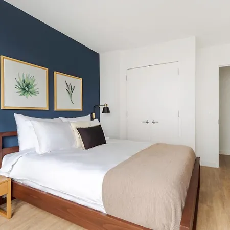 Fidi 1br W Gym Doorman Nr St Nyc-418 Apartment *