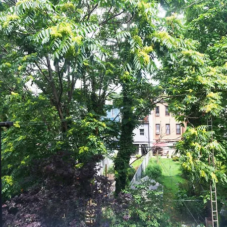 Greenpoint 1br W Wd Nr Mccarren Park Nyc-886