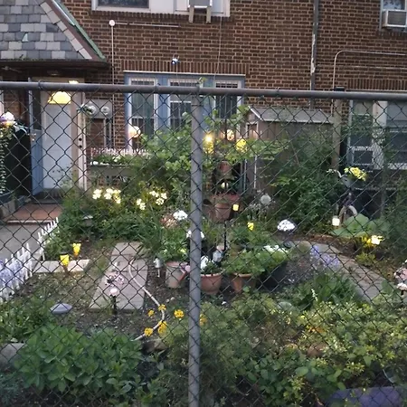 Explore From Queens Apartment *