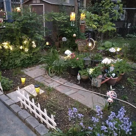 Explore From Queens