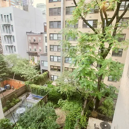 Designer In Diplomat District *