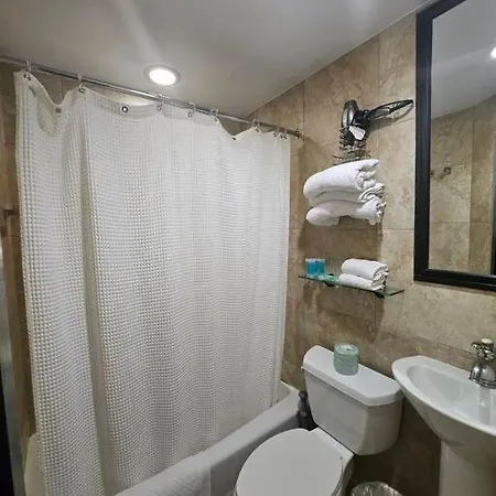 1 Bedroom At The Mansfield Midtown Apartment