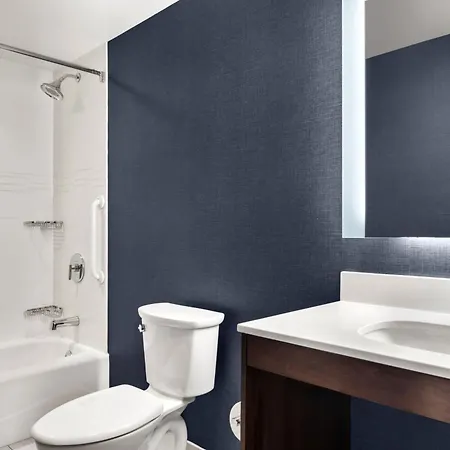 Hotel By Marriott The Bronx At Metro Center Atrium 3*