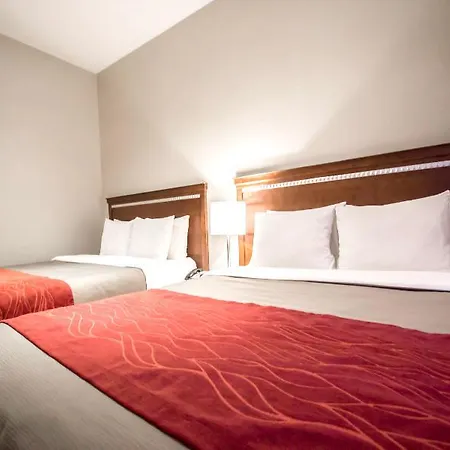 Hotel Comfort Manhattan Bridge New York