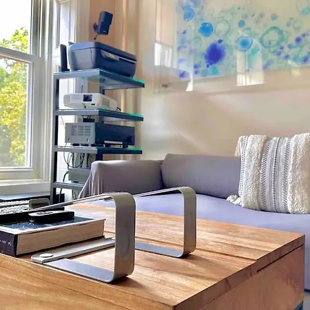 Apartment Relaxing & Cozy Spa. In Brooklyn Mins To Mhtn New York