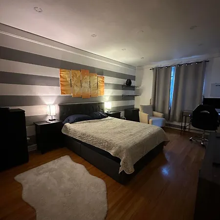2 Large Bedrooms In Rego Park New York