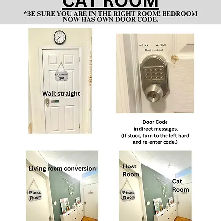 Apartment Cat By Delicate Living Conversion Shared Space Only Cat Friendly Only 25 Min To Time Square New York