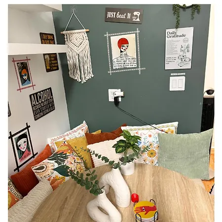 Cat By Delicate Living Conversion Shared Space Only Cat Friendly Only 25 Min To Time Square New York