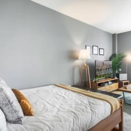 Newly Renovated 3 Bedroom New York