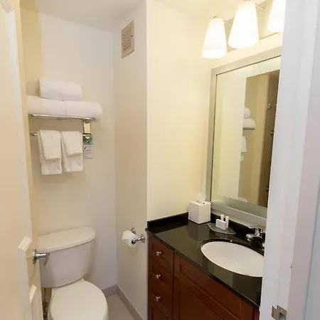 Apartment Stunning Studio