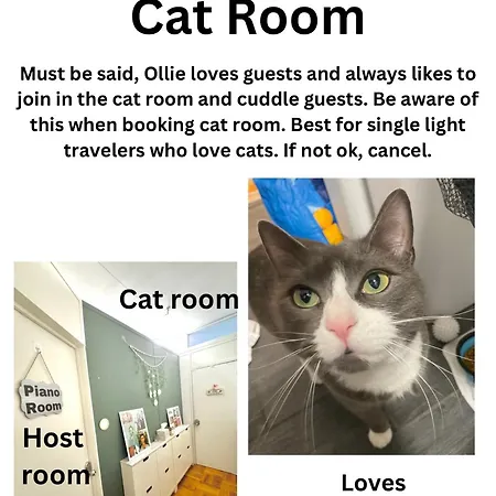 Cat By Delicate Living Conversion Shared Space Only Cat Friendly Only 25 Min To Time Square New York