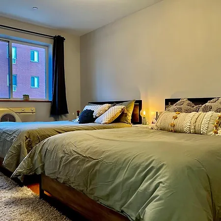 Cozy In New York