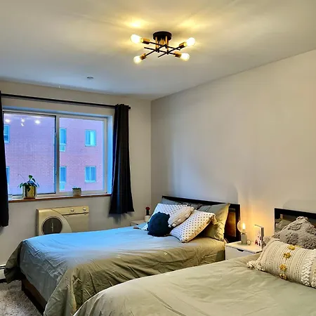 Cozy In Apartment New York