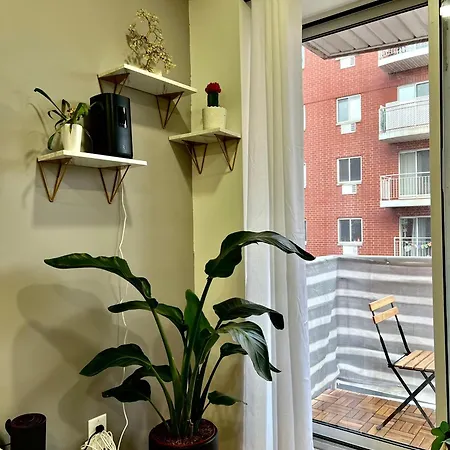 Cozy In * New York