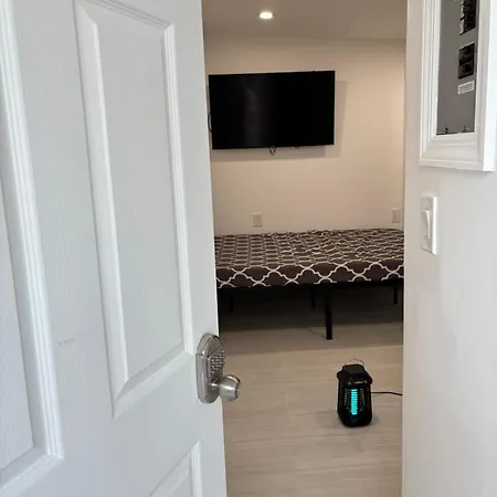 Address Is 221 Street, Basement Queens Village 646-667-6696 Apartment New York