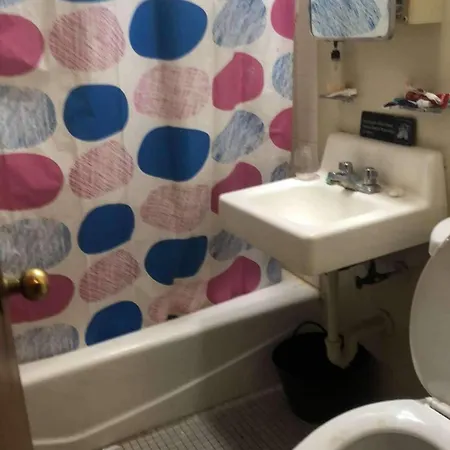 A In Anartist Apartment