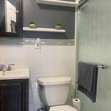 Private With Separate Entrance & Backyard, Quiet Brooklyn