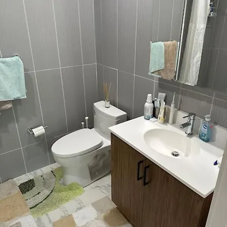 Apartment Beautiful Greenpoint New York
