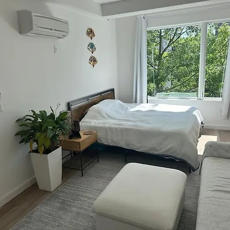 Apartment Beautiful Greenpoint New York