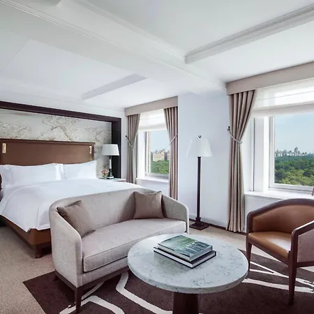 The Ritz-carlton New York, Park New York