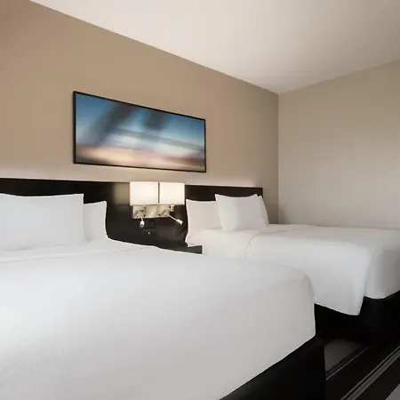 Hotel Courtyard By Marriott Jfk Airport