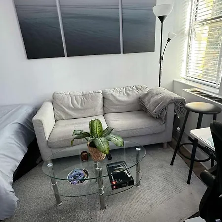 Spacious Master Bedroom In A 3bedroom Next To Empire State Building With Great Street View - Available For 2months Subletting *