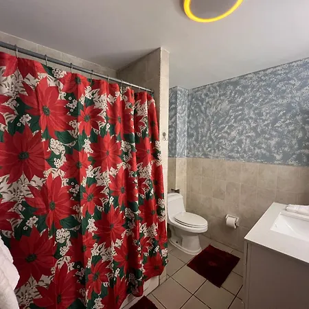 3 Bedrooms In 2nd Floor Modern Brooklyn Home, Close To J Train New York