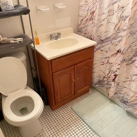 One Bedroom By Month Next To Bronx Zoo