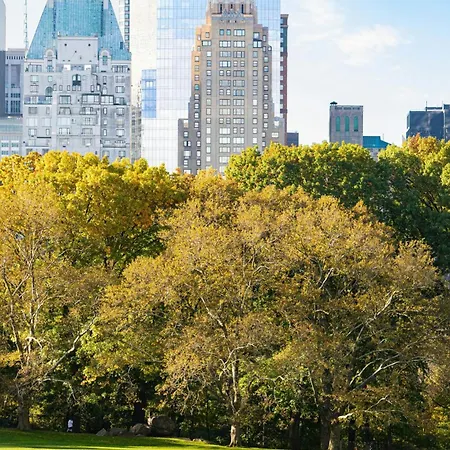 Jw Marriott Essex House 5* New York